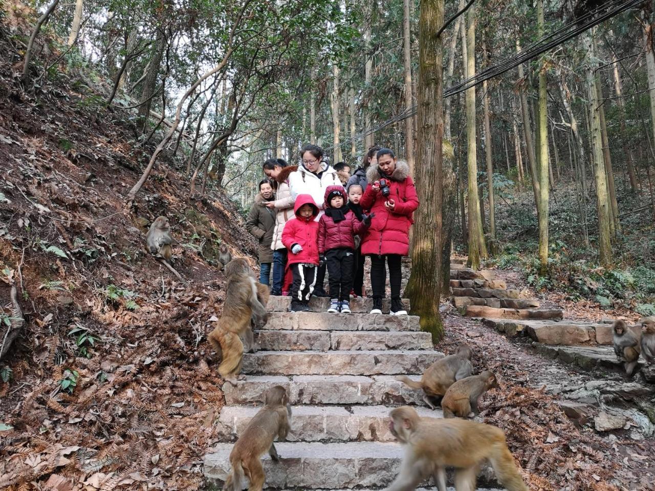 Zhangjiajie National Park Yuelu Homestay Exterior foto