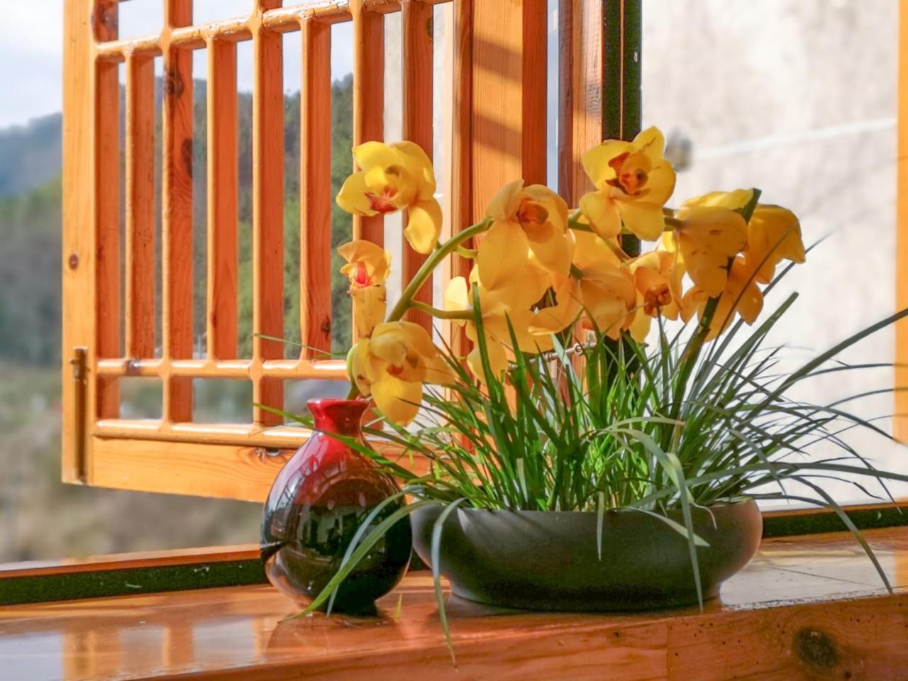 Zhangjiajie National Park Yuelu Homestay Exterior foto
